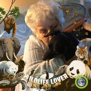 Meet your Posher, Robin a